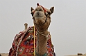 03 MAK_6746